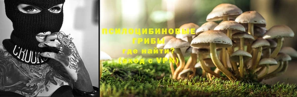 mdpv Алексин