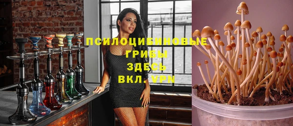 мдпв Покровск