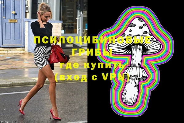 твердый Алексеевка
