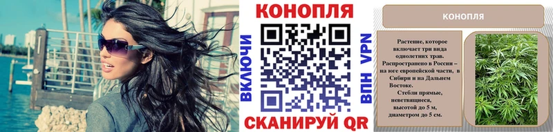закладки  Оханск  Конопля гибрид 